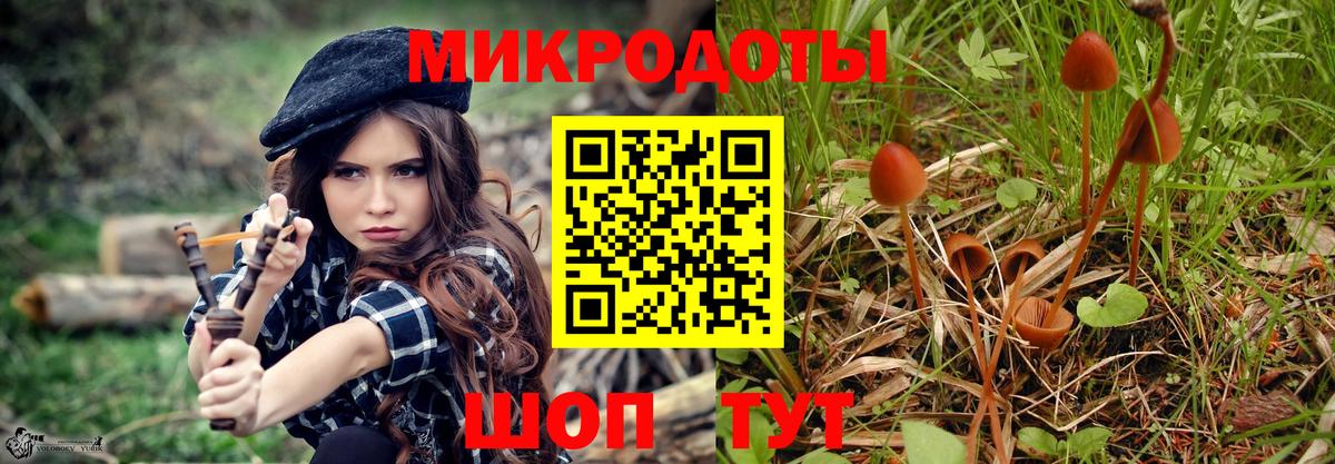 Псилоцибиновые грибы мицелий Химки
