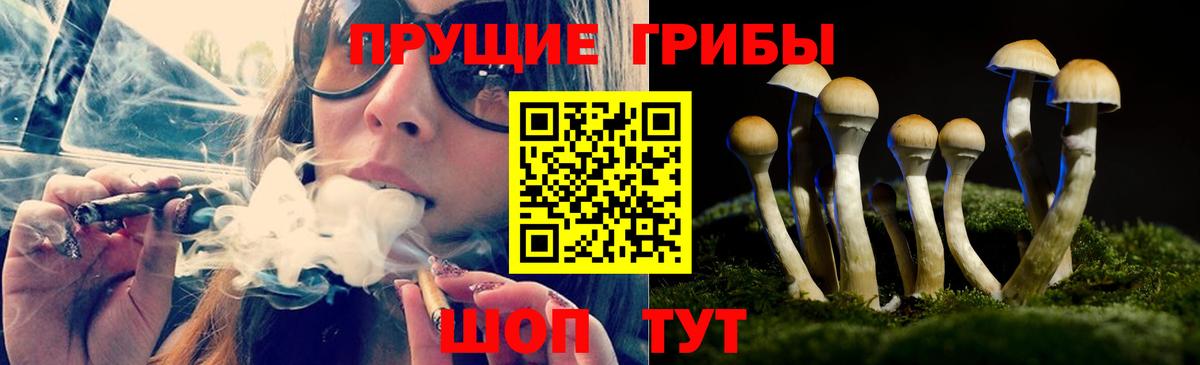 Химки  Псилоцибиновые грибы Psilocybe  Вход с VPN  Псилоцибиновые грибы мухоморы 